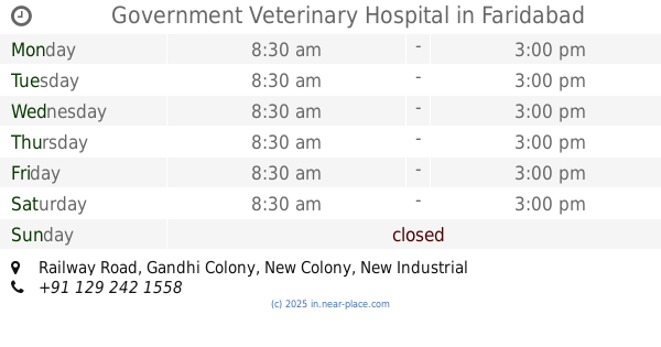 🕗 opening times, near, Saran School Road, Saran Village, Faridabad, contacts 🕗 opening times, near, Saran School Road, Saran Village, Faridabad, contacts